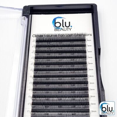 CLOVER (W) VOLUME EYELASH EXTENSIONS