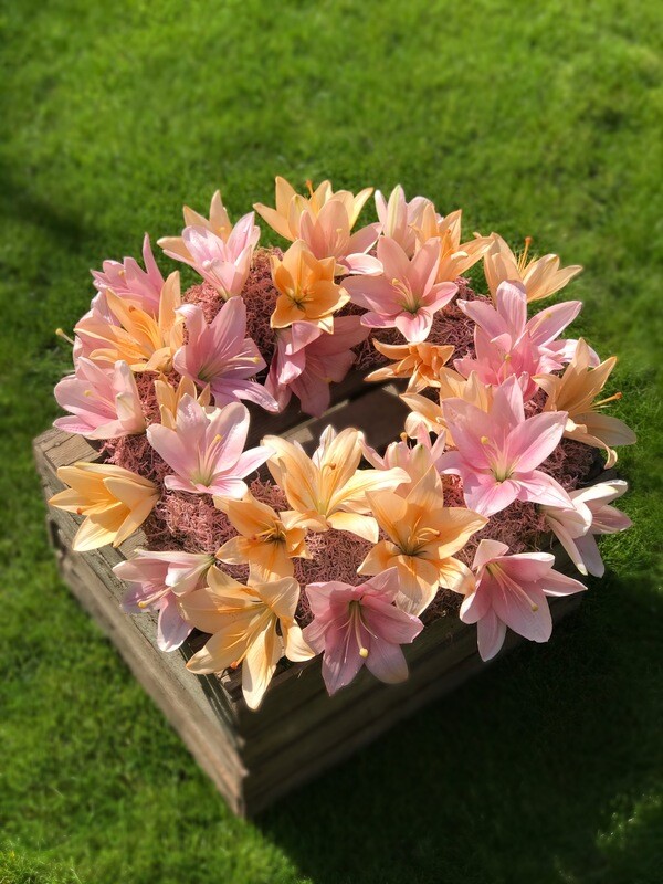 Lily Wreath Funeral Tribute