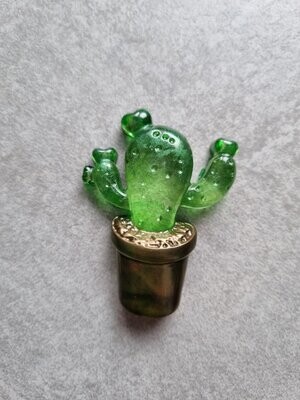 Cactus en pot #2