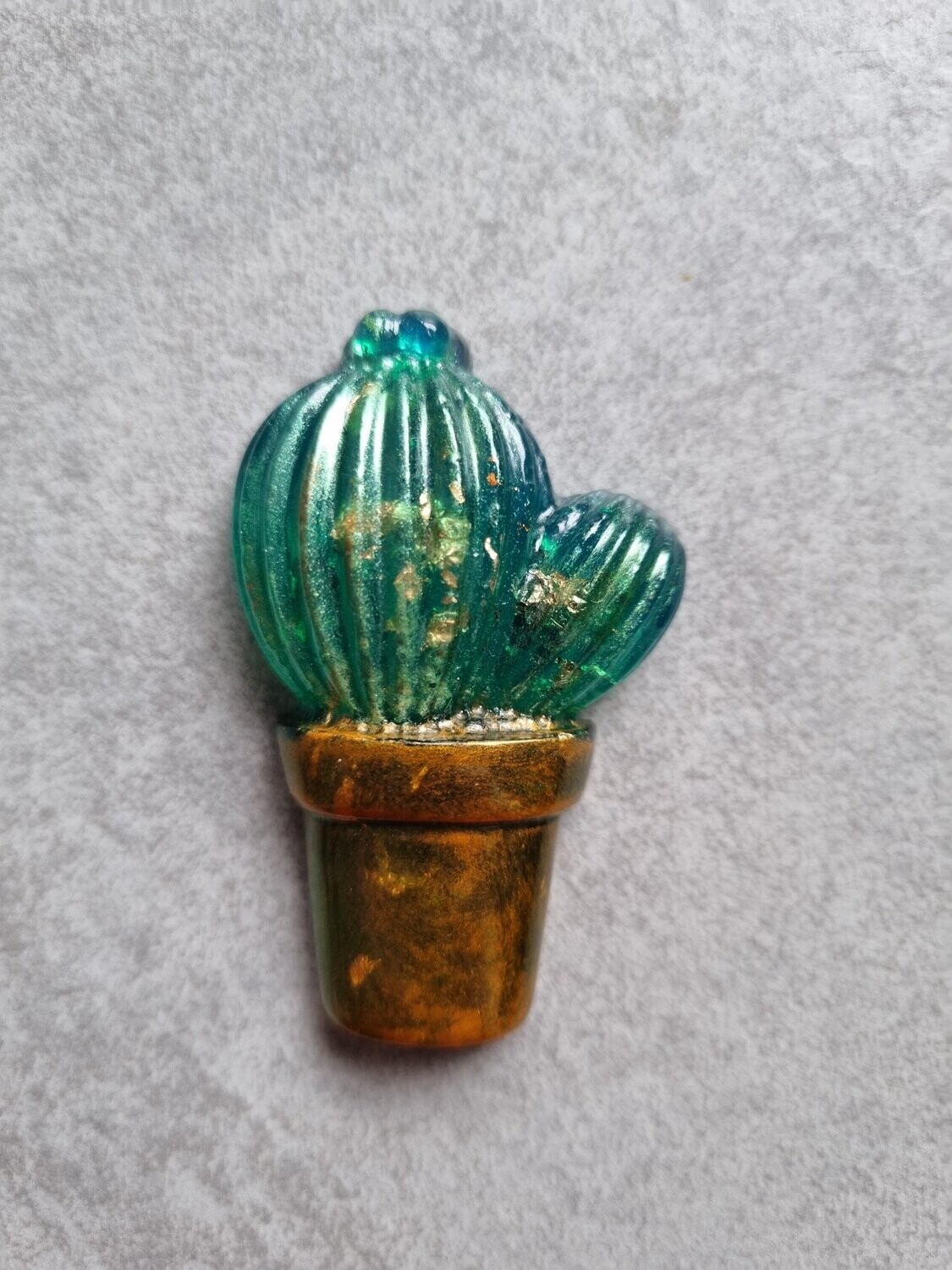Cactus en pot #6