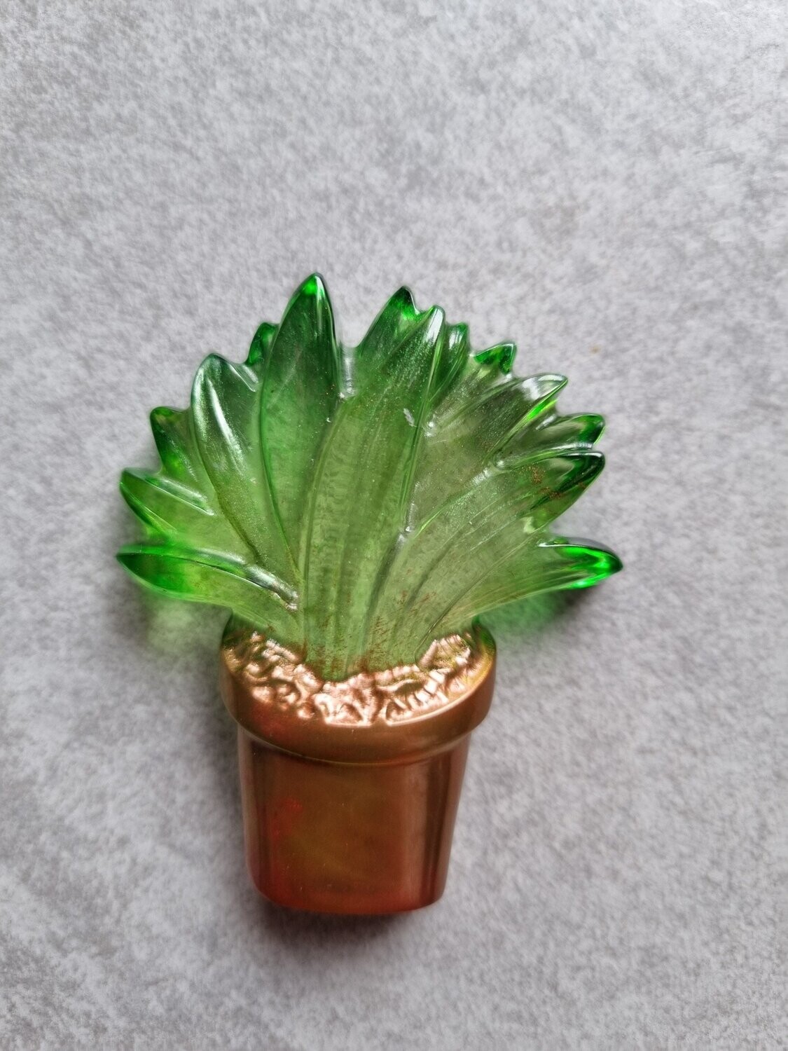 Cactus en pot #1