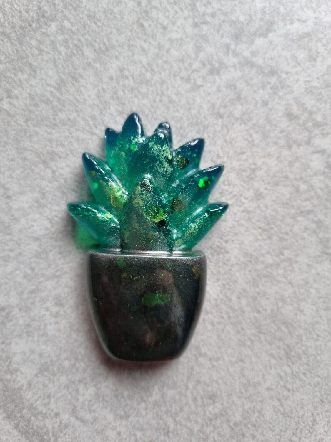 Cactus en pot #5