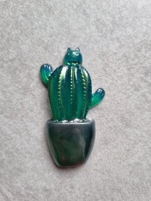 Cactus en pot #4