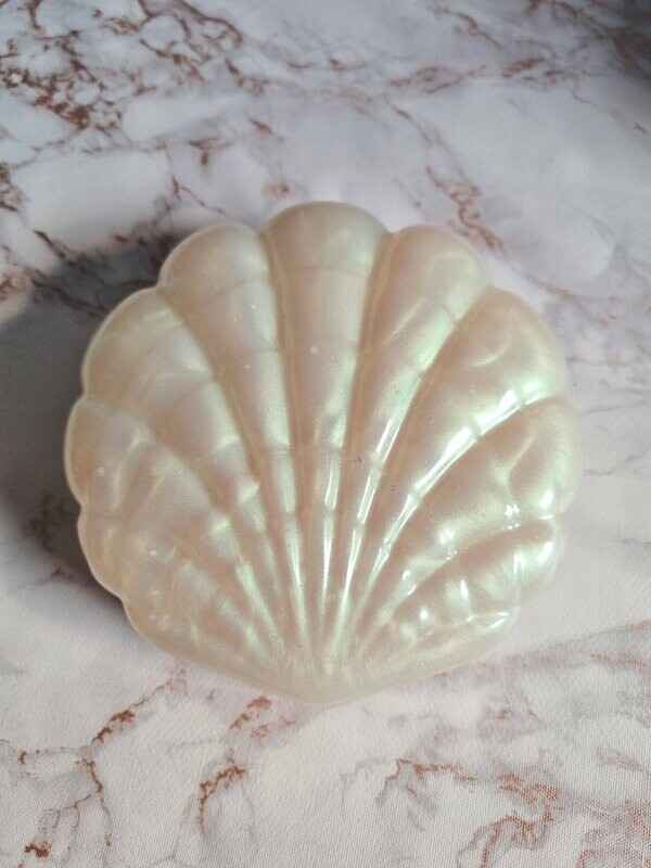 Boite Coquillage blanc nacré
