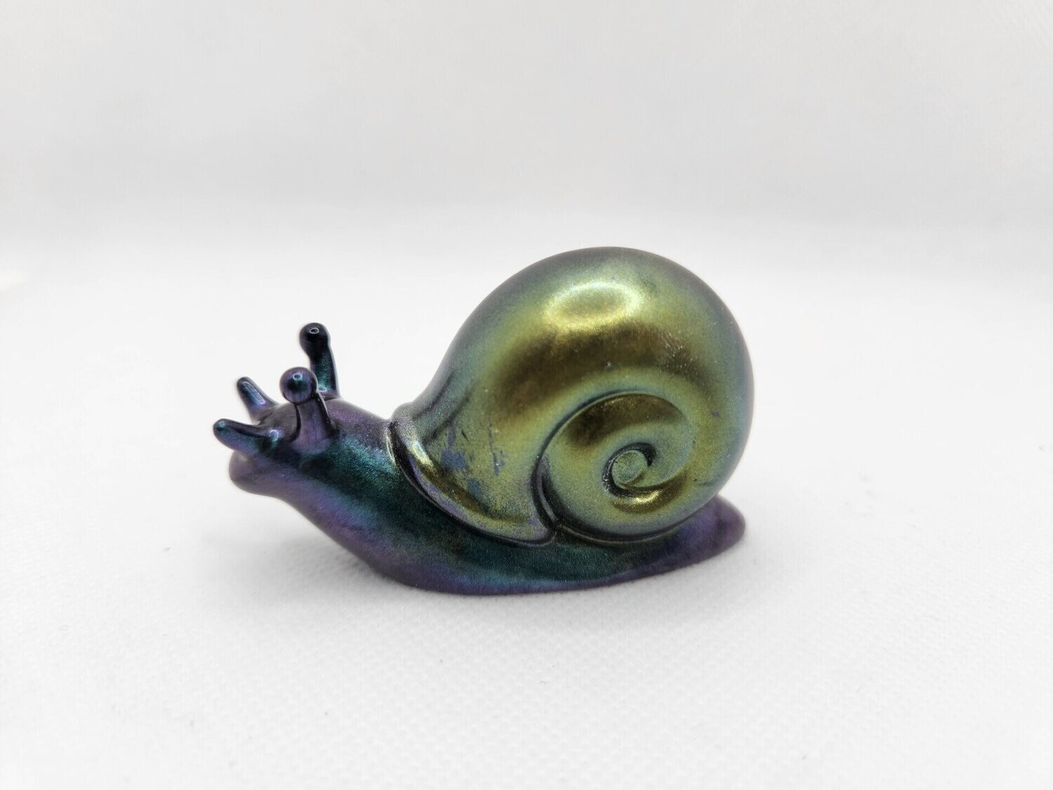 Escargot couleur caméléon