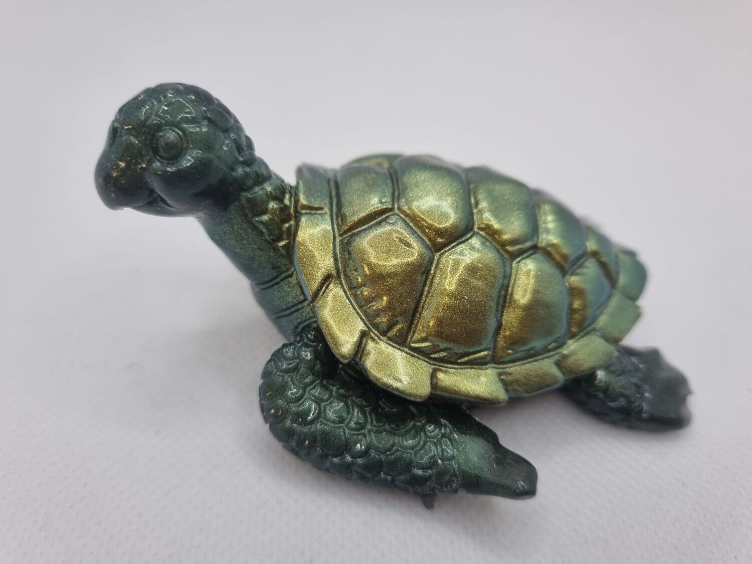 Petite tortue personnalisée
