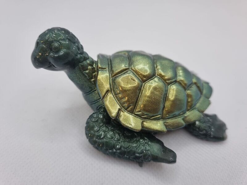 Petite tortue personnalisée