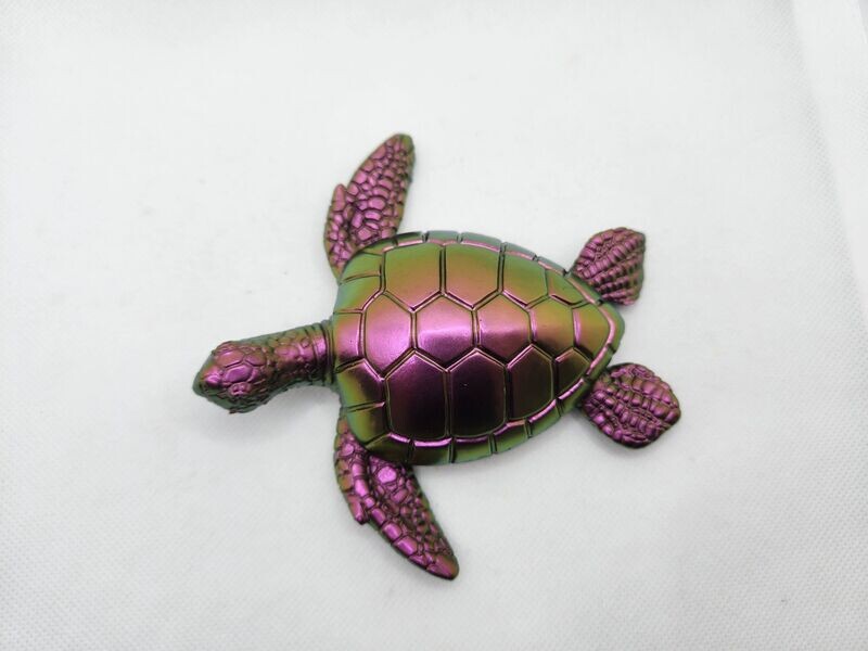 Grande tortue personnalisée