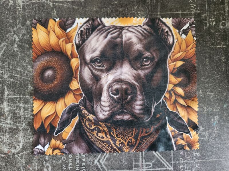 Chiffonnette microfibre staffie tournesol