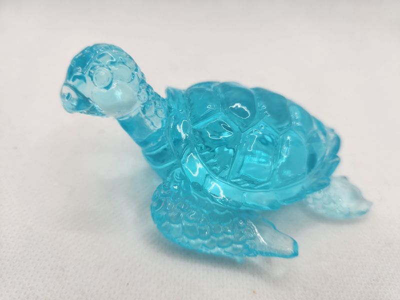 Petite tortue bleu lagon