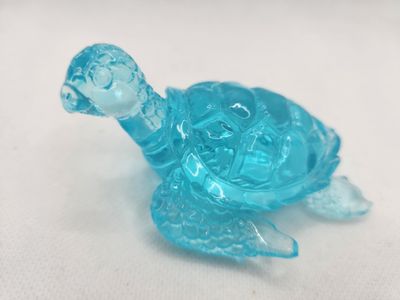 Petite tortue bleu lagon Petite tortue bleu lagon