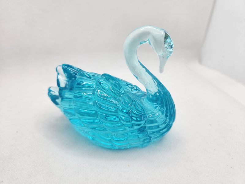 Cygne bleu lagon