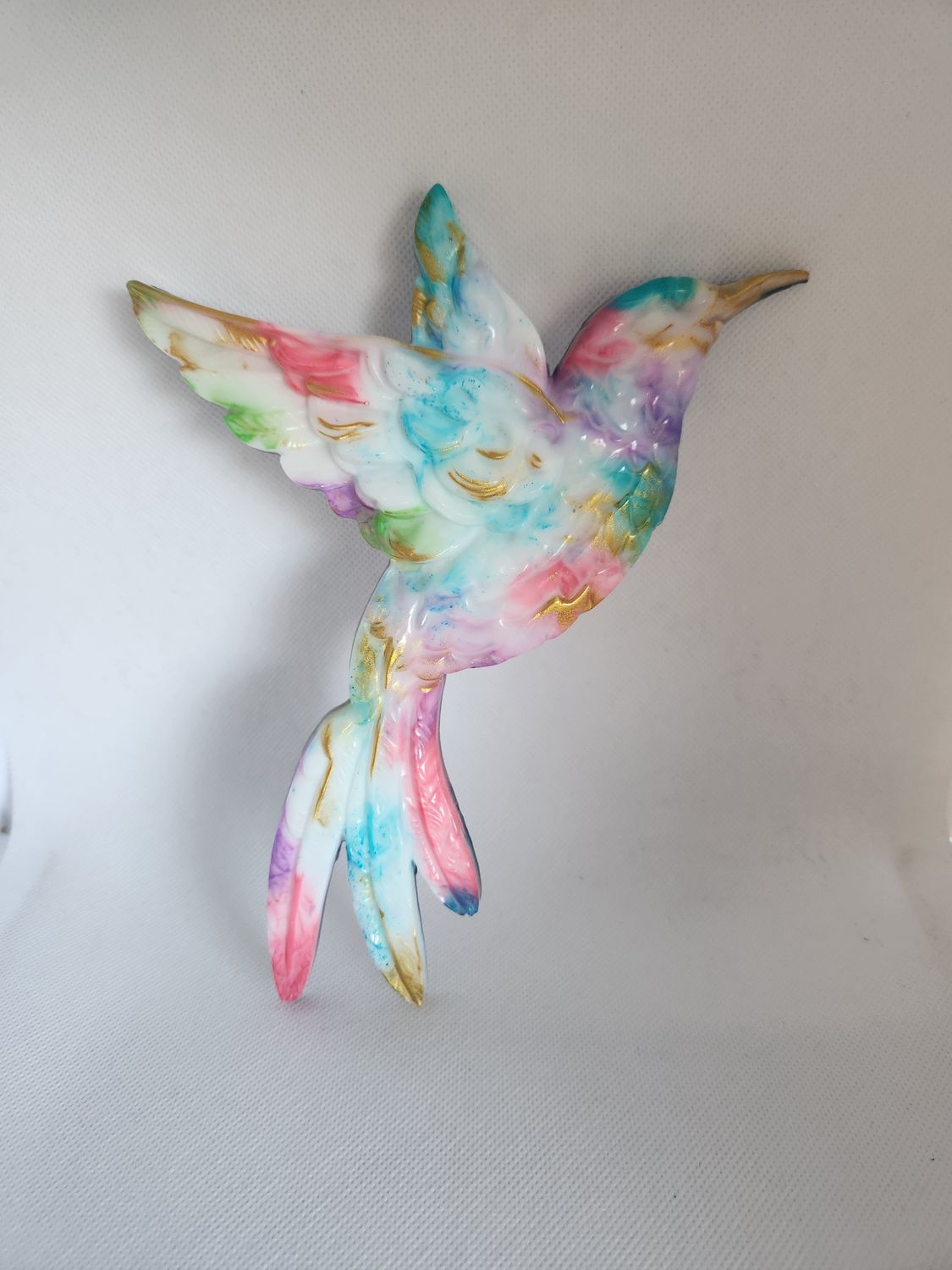 Colibri multicolore
