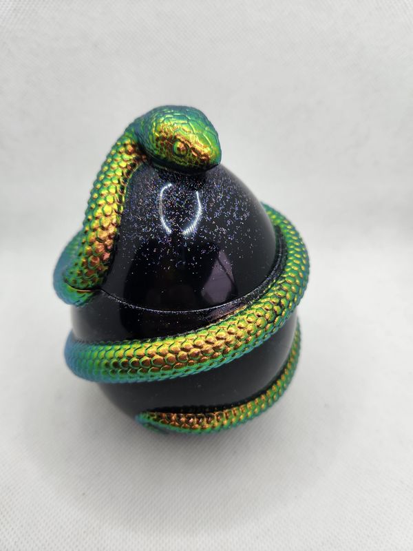 Boite serpent noir et caméléon