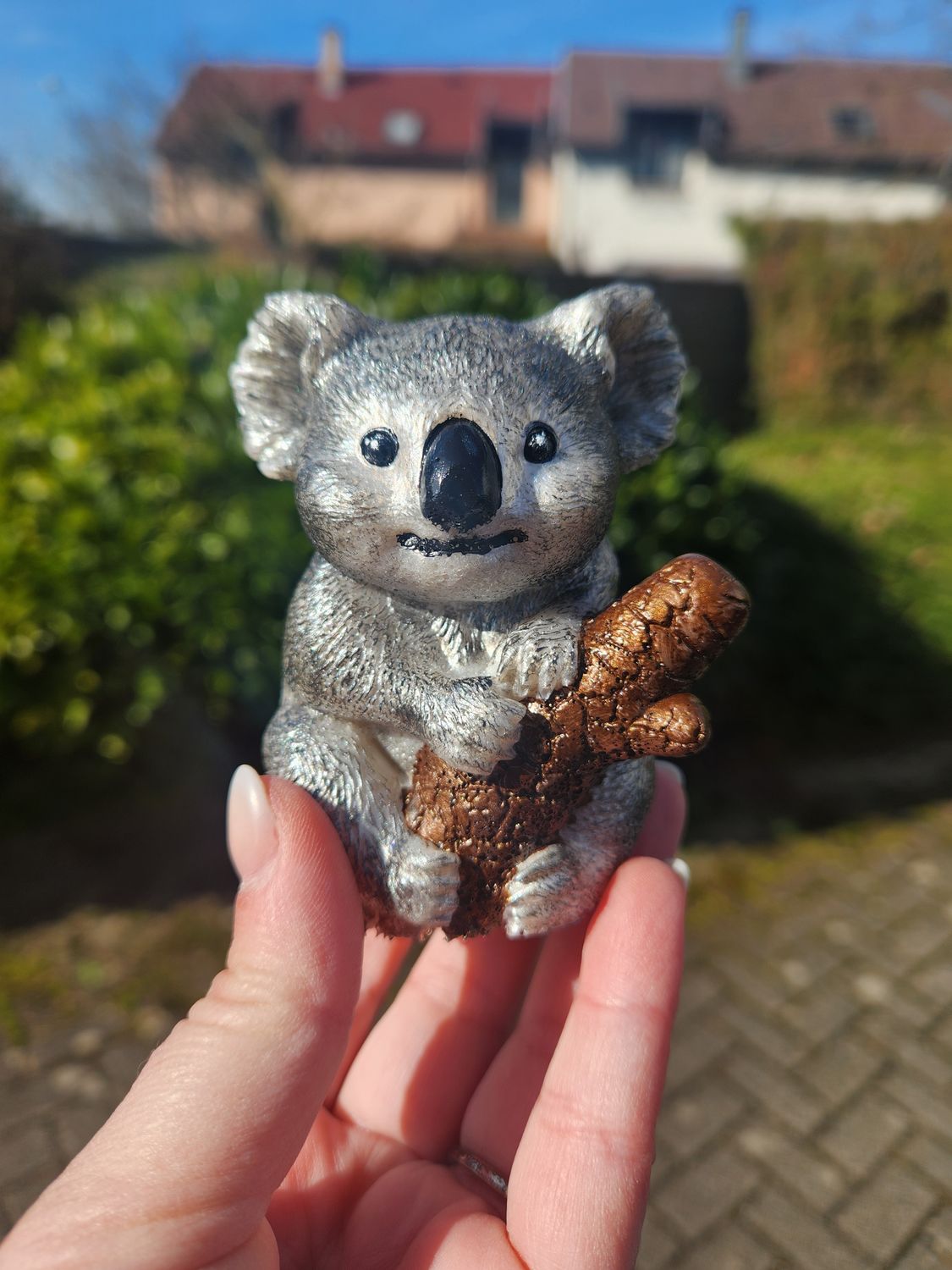 Koala sur sa branche