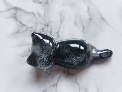 Porte stylo / pinceau chat noir pailleté holographique
