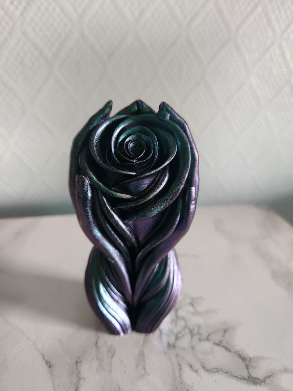 Silhouette rose et mains caméléon violet vert