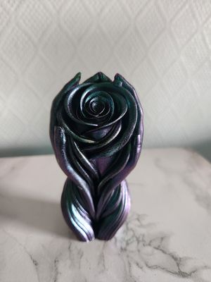 Silhouette rose et mains caméléon violet vert
