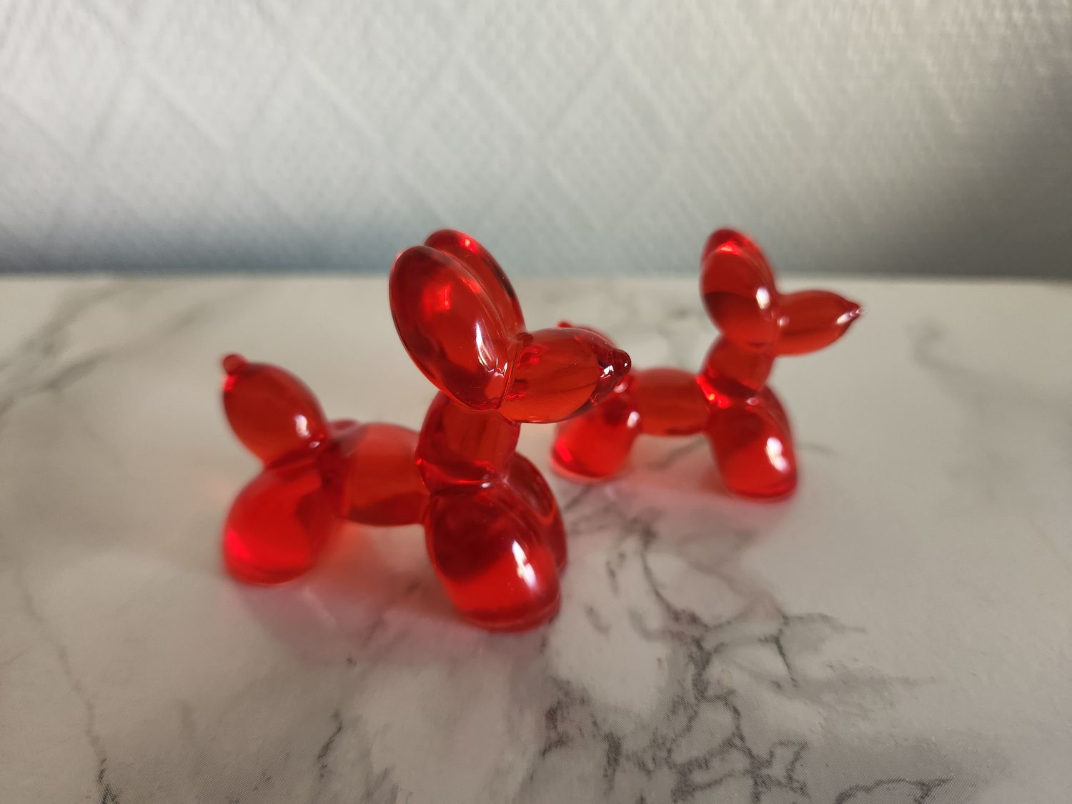 Duo de chiens ballons rouge translucide