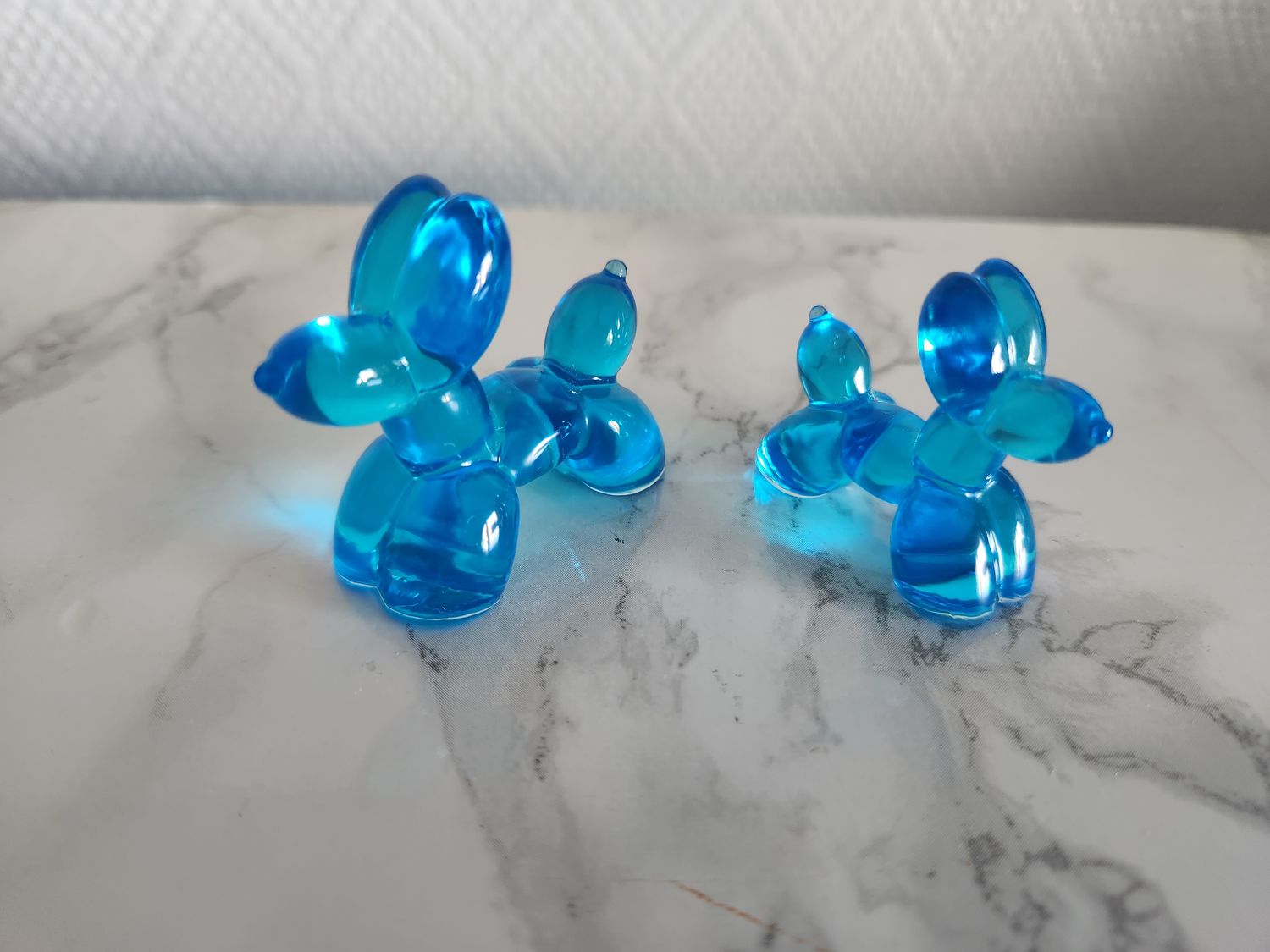 Duo de chiens ballons bleu translucide