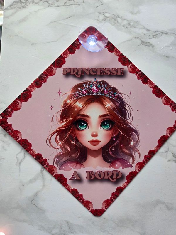 Panneau ventouse auto Princesse à bord #1