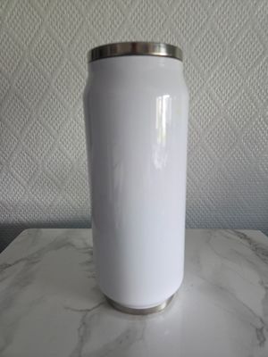 Canette grand format  380ml