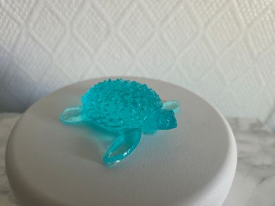 Petite tortue bleu translucide