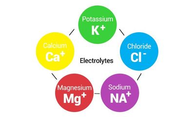 Electrolytes