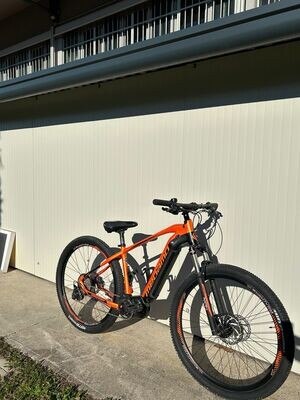 E MTB MEGAMO