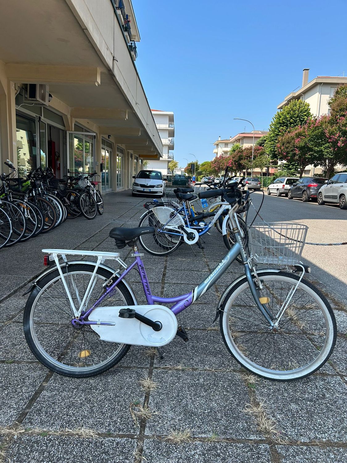 BICI DONNA 24&quot;