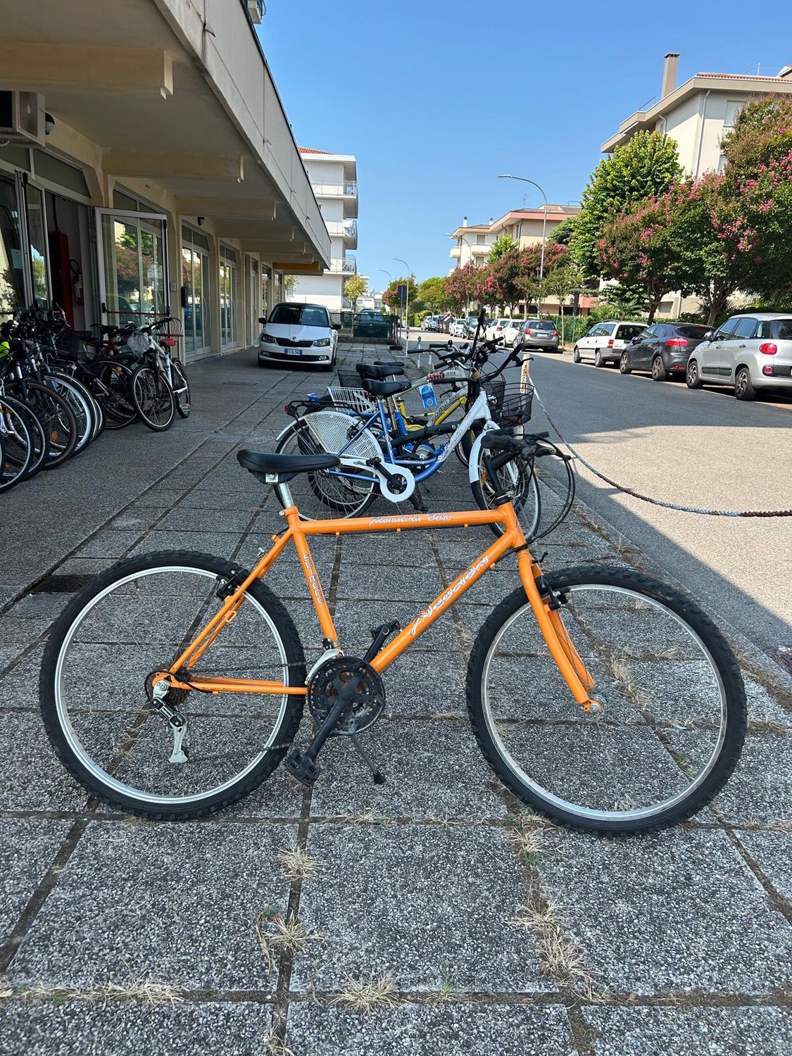 MTB 26&quot;