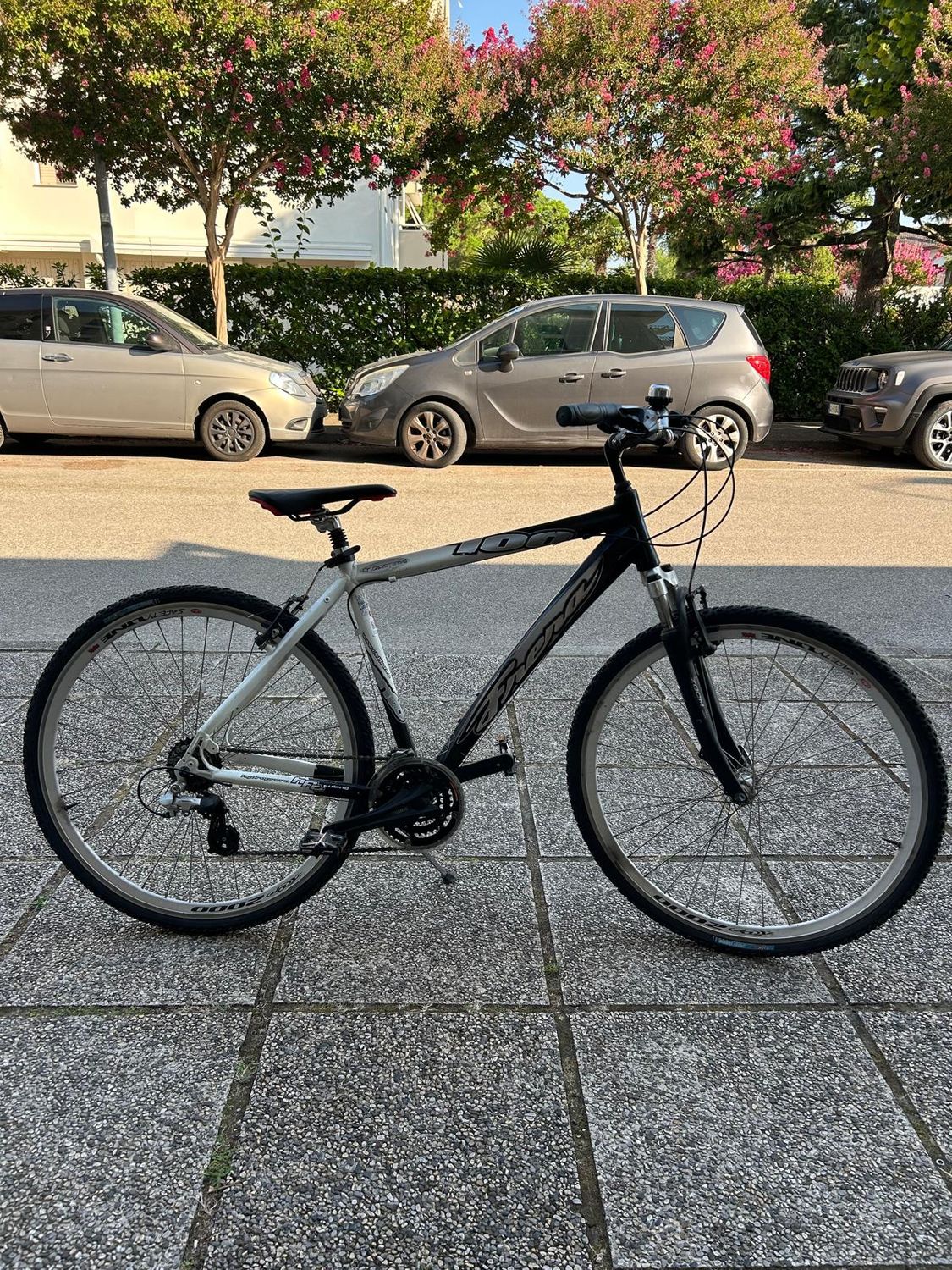 BICI DA UOMO FRERA