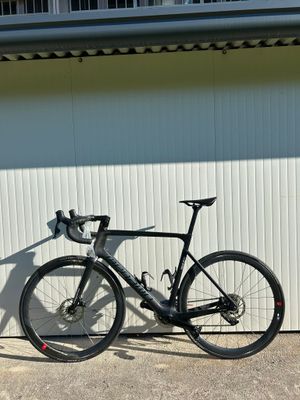 BDC MEGAMO PULSE