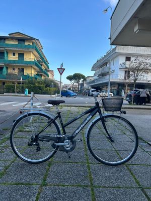 CITY BIKE DONNA BOTTECCHIA