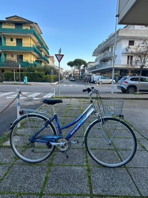 CITY BIKE DONNA WINDRIVER