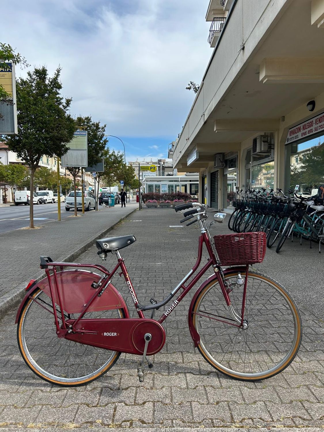 BICI OLANDA
