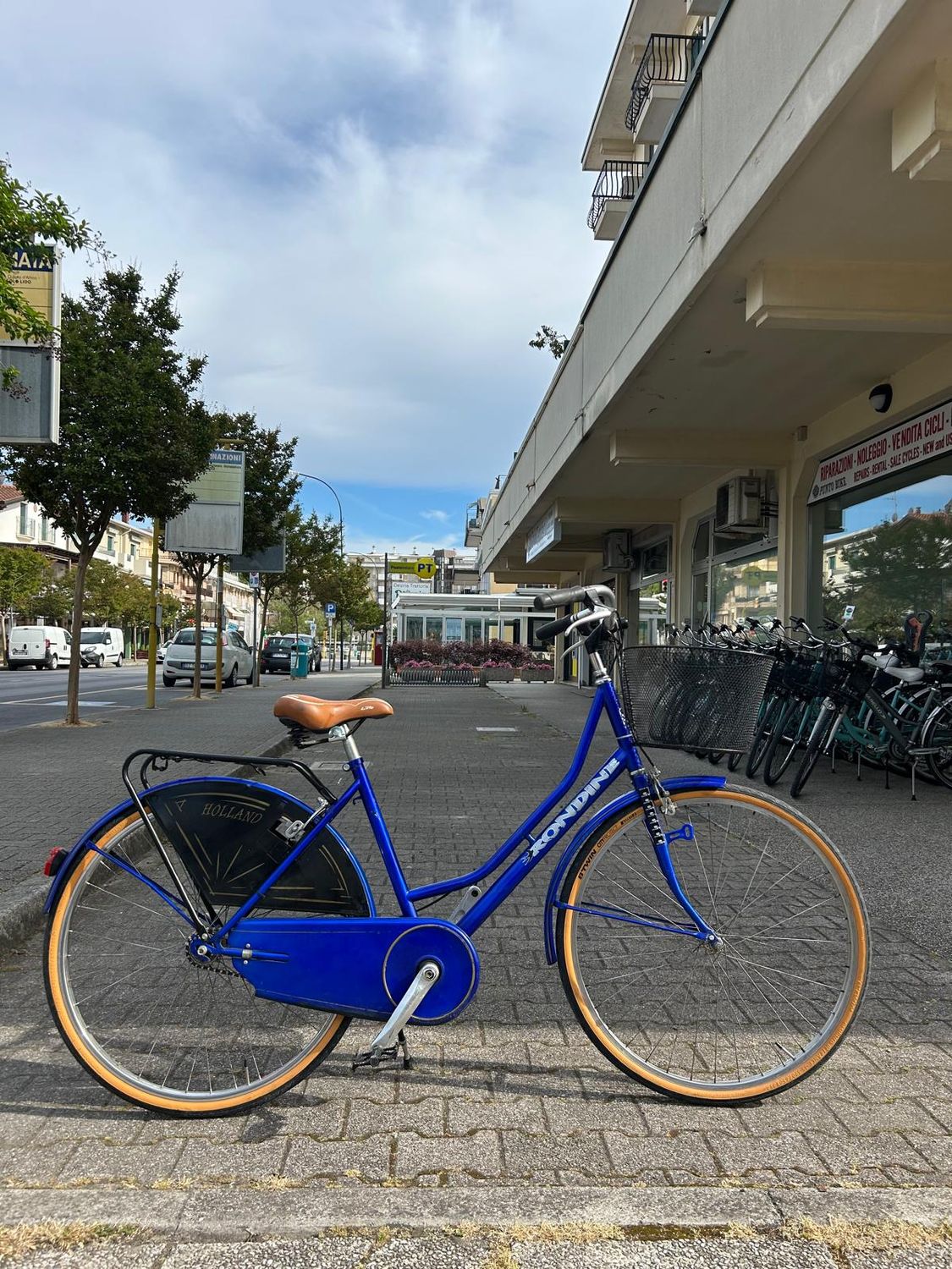 BICI OLANDA RONDINE