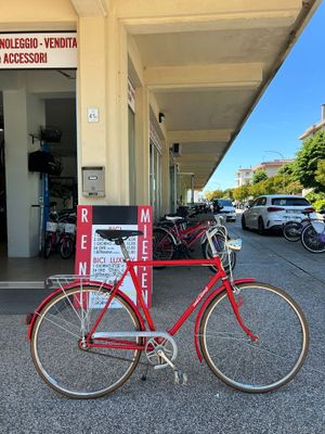 BICI VINTAGE 26"