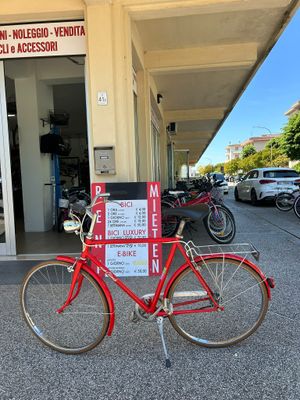 BICI VINTAGE 26"