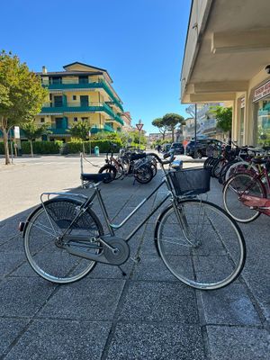 BICI FRASCONA