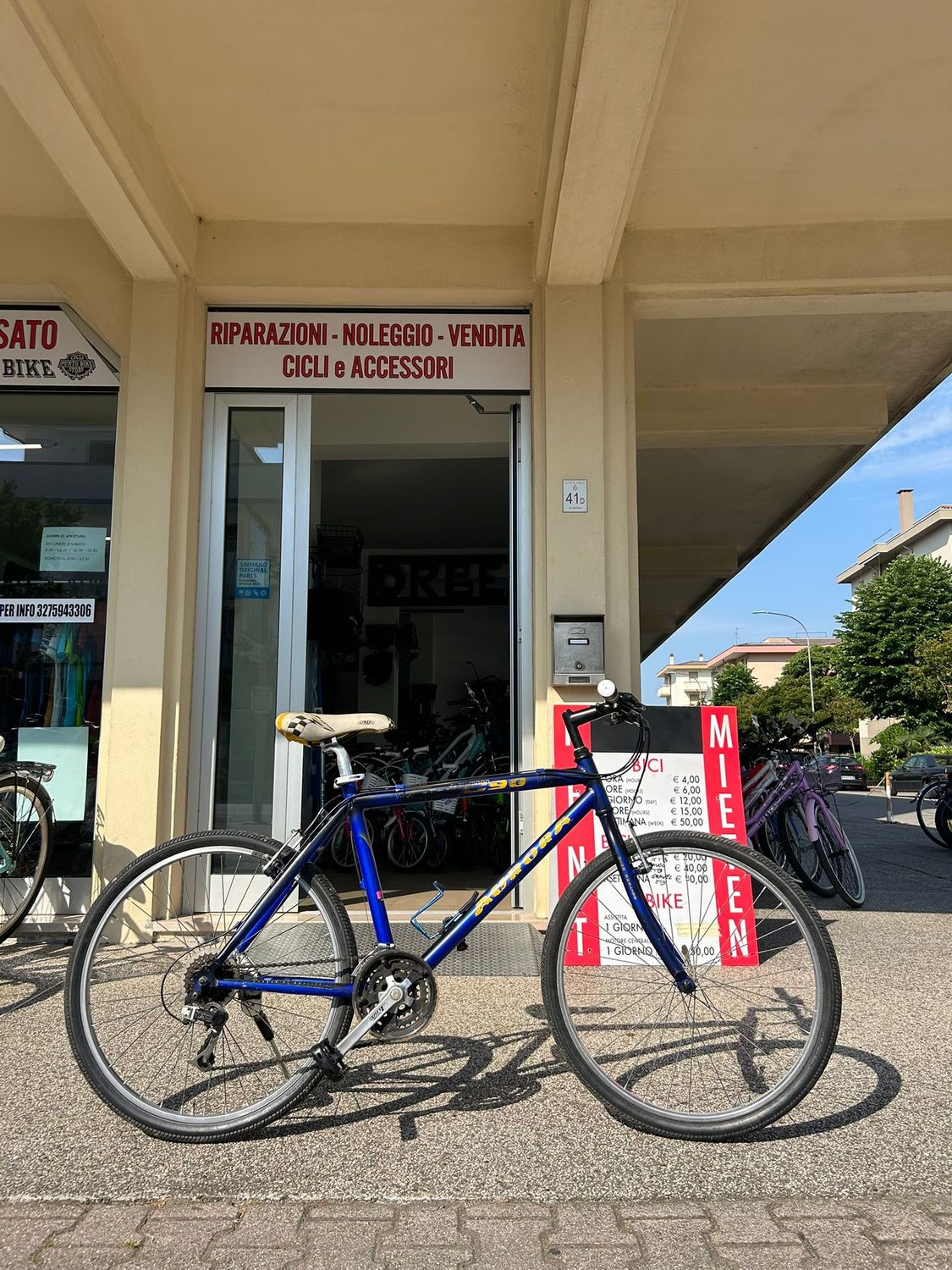 MTB 26"