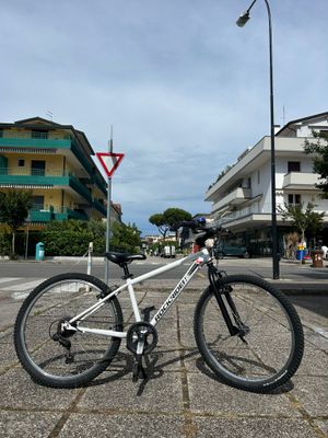MTB ROCKRIDER 24"