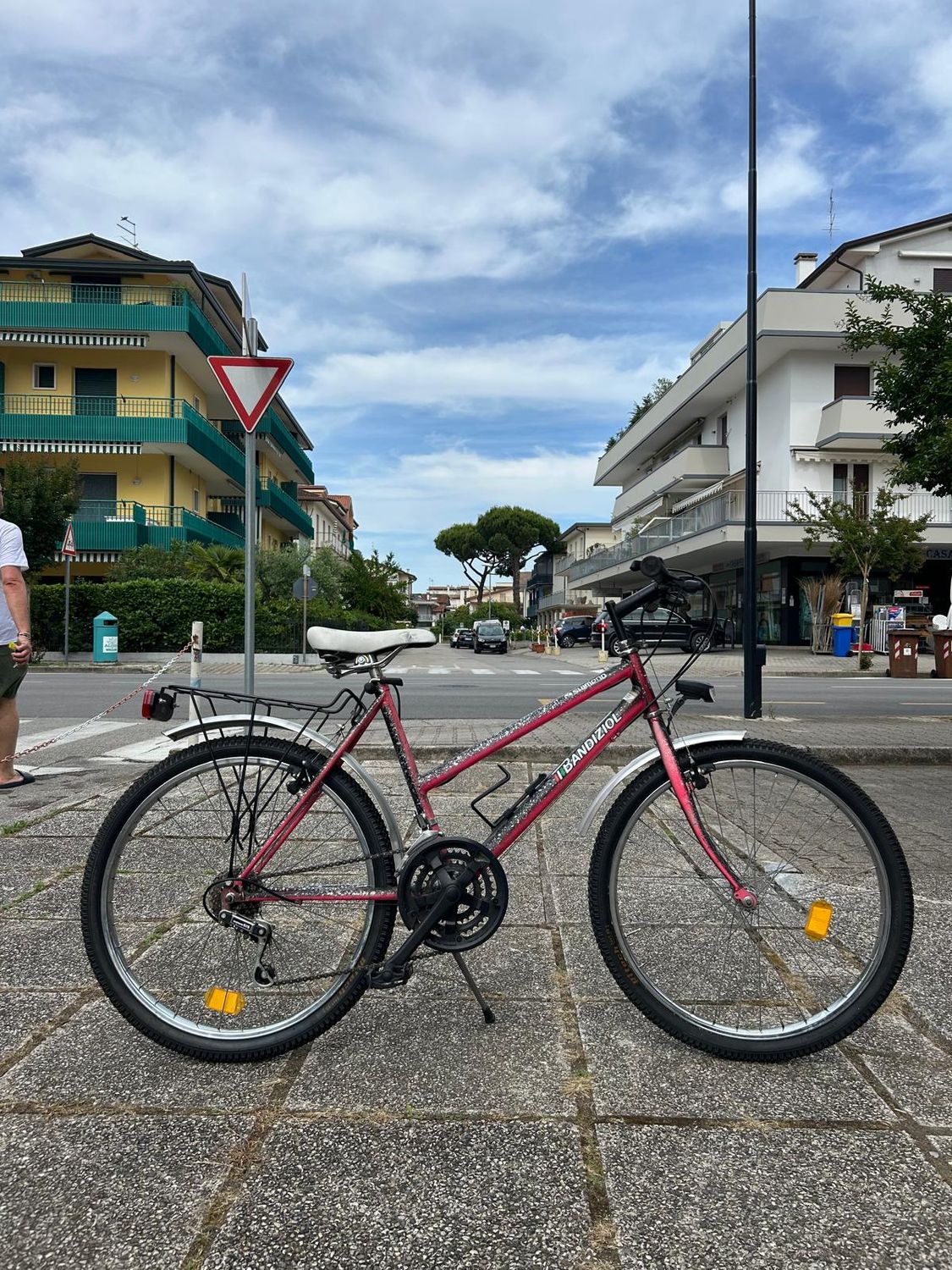 BICI 24"