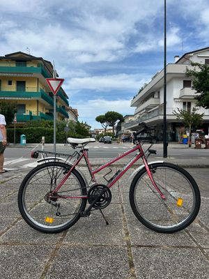 BICI 24"