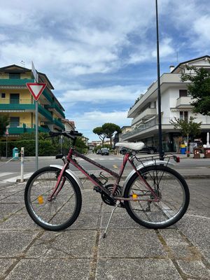 BICI 24"