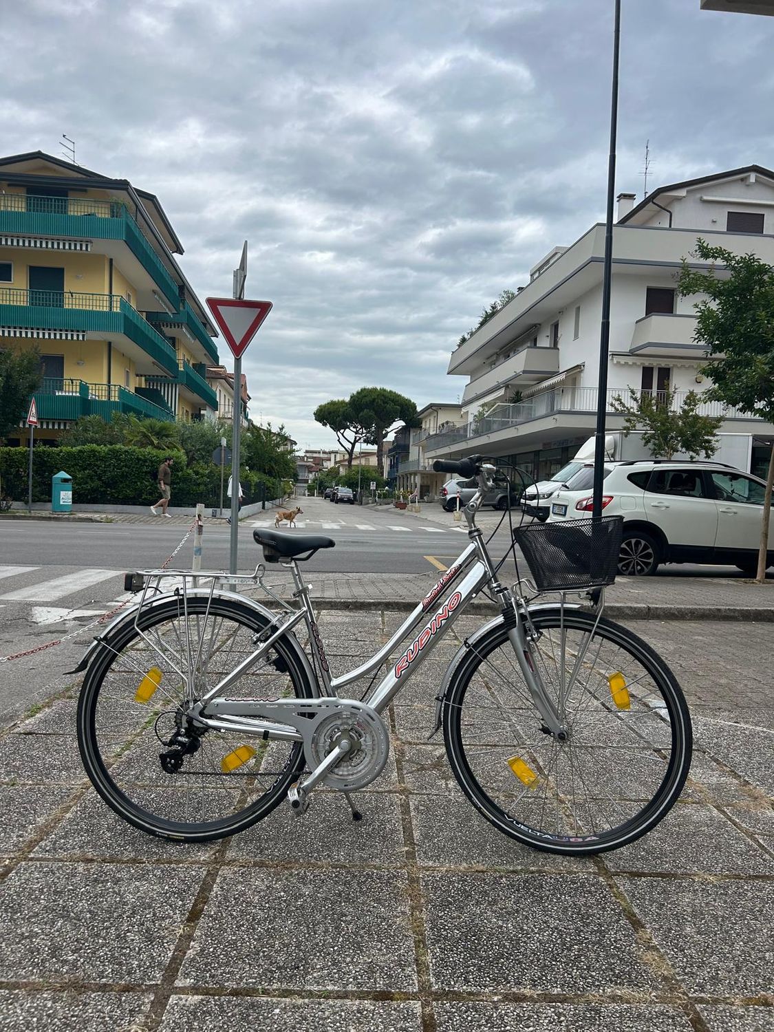 CITY BIKE RUBINO ALLUMINIO