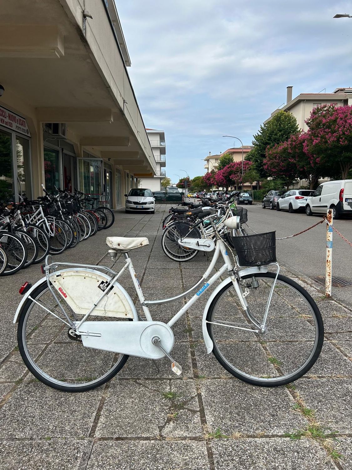 BICI OLANDA