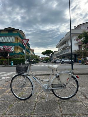 BICI OLANDA