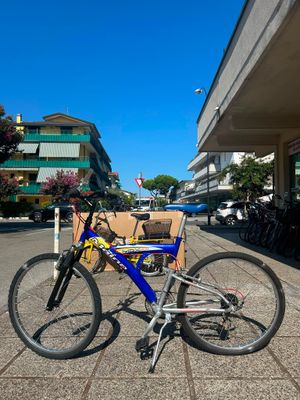 MTB 26"