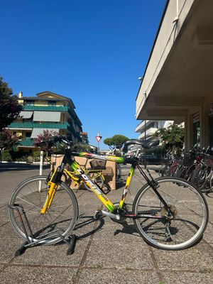 BICI UOMO LORIS